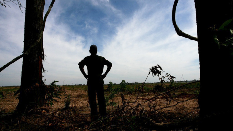 Terra bruciata. Dossier Caritas contro il fenomeno del land grabbing